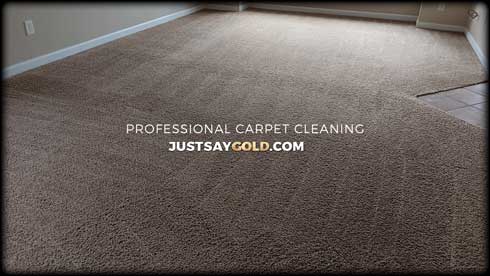 assets/images/causes/slider/site-professional-carpet-cleaning-in-roseville-ca-haman-way