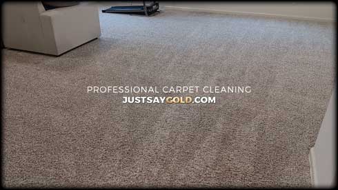 assets/images/causes/slider/site-professional-carpet-cleaning-in-west-roseville-ca-alderwood-place
