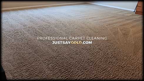 assets/images/causes/slider/site-professional-carpet-cleaning-near-rocklin-ca-fox-hill-court