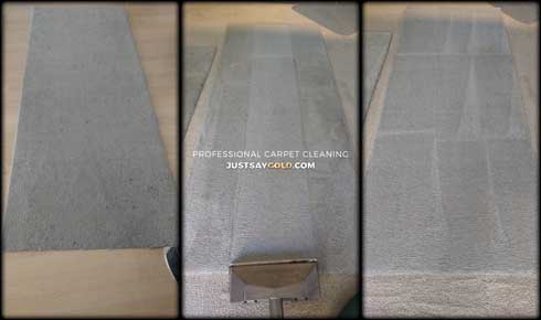 assets/images/causes/slider/site-professional-carpet-cleaning-prices-in-carmichael-ca-gold-coast-flooring
