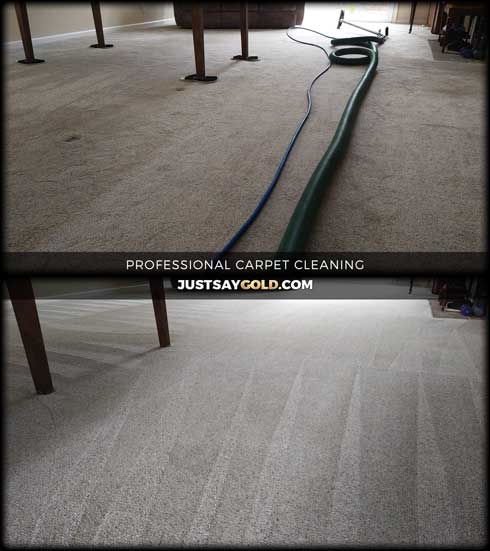 assets/images/causes/slider/site-professional-carpet-cleaning-service-in-folsom-ca-foley-lane