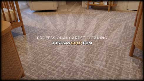 assets/images/causes/slider/site-professional-carpet-cleaning-service-in-sacramento-ca-american-river-drive