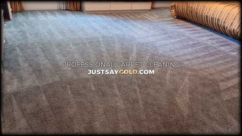 Professional Carpet Cleaning Service In Sacramento CA