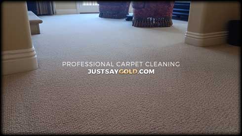 assets/images/causes/slider/site-professional-commercial-carpet-cleaning-service-sacramento-ca-arden