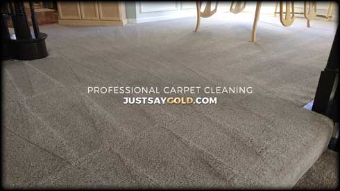 assets/images/causes/slider/site-professional-steam-carpet-cleaning-elk-grove-ca-s-camden-way