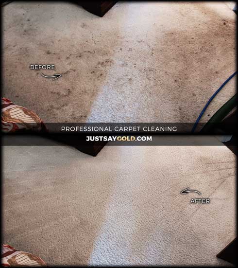assets/images/causes/slider/site-professional-steam-carpet-cleaning-in-sacramento-ca-grace-avenue