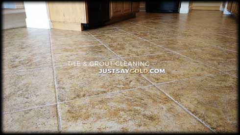 assets/images/causes/slider/site-professional-tile-cleaning-company-near-folsom-ca-bluestone-circle