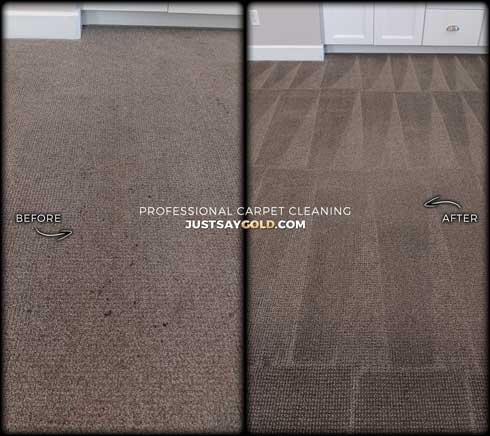 Reliable Carpet Cleaning Specialist In El Dorado Hills CA