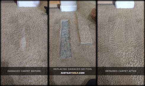 assets/images/causes/slider/site-replacing-pet-damaged-carpet-repair-rancho-cordova-ca-erato-circle