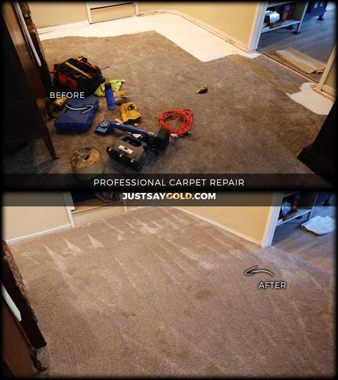 assets/images/causes/slider/site-replacing-pet-urine-carpet-repairs-in-carmichael-ca-north-avenue