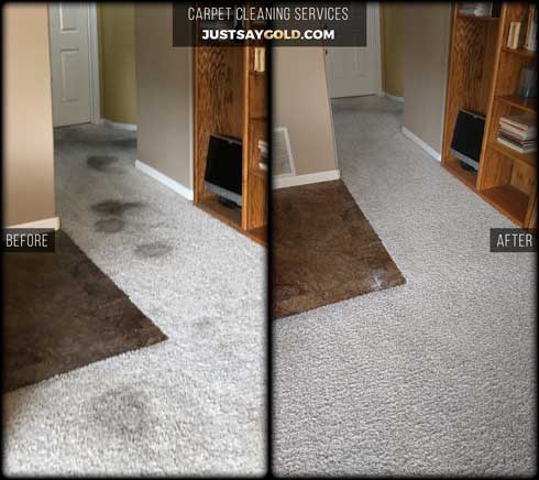 assets/images/causes/slider/site-steam-carpet-cleaning-services-near-rocklin-ca-fleet-circle