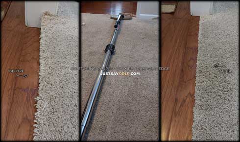 Pet Damaged Carpet Repair Near Edge In Granite Bay CA