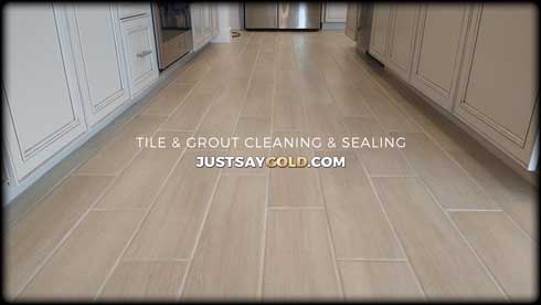 assets/images/causes/slider/site-tile-and-grout-sealing-service-cost-near-roseville-ca-peace-lily-lane