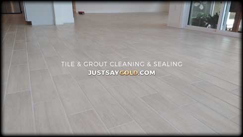 assets/images/causes/slider/site-tile-and-grout-service-company-near-roseville-ca-peace-lily-lane