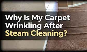 Why Is My Carpet Wrinkling After Steam Cleaning?